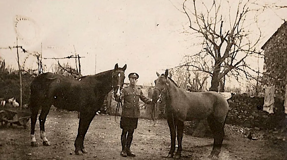 Major R. A. Corsan;s two horses Sultan and Rosie with Driver Lamb